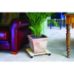Image de SUPPORT ROULANT BOIS NATURA 35 cm CARRE - Unité