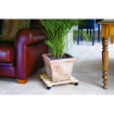 Image de SUPPORT ROULANT BOIS NATURA 35 cm CARRE - Unité