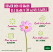 Image de COSMOS FENG SHUI VL 3 - Le sachet
