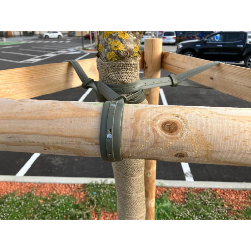 Image de Bande à clouer 25mm avec coulants / 25ml