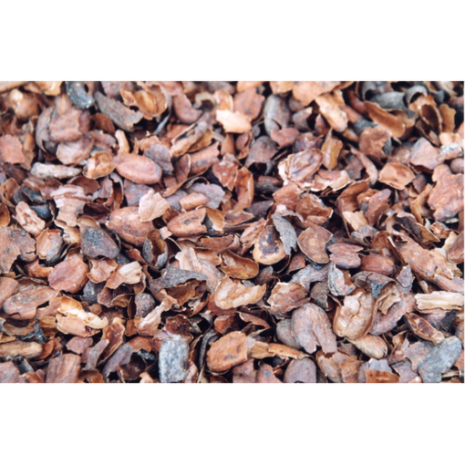 Image de COQUES de cacao - Sac 100 L