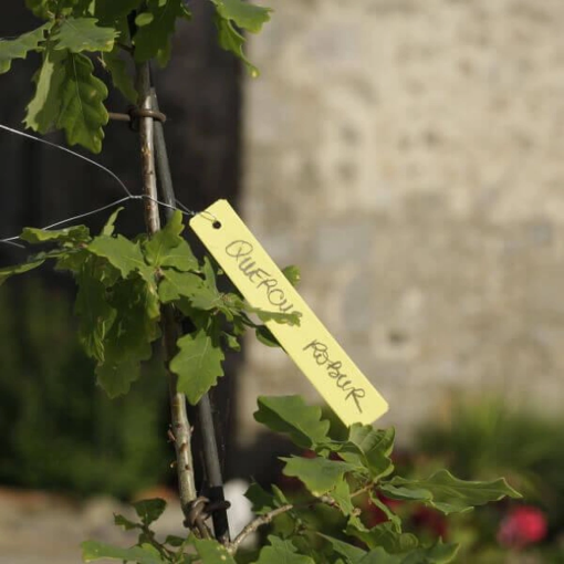 Image de Etiquettes plast. EA 10 - à accrocher - Paquet de 100