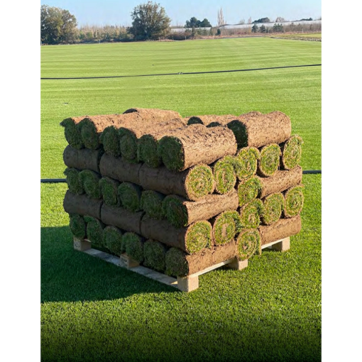 Image de Gazon de PLACAGE - M2