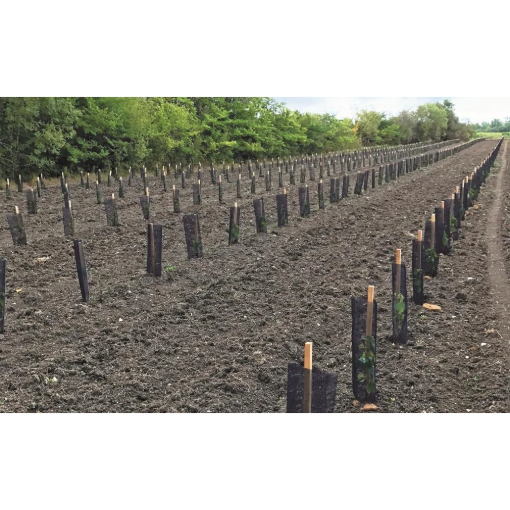 Image de Manchon dissuasion Gibier - Diam 14 cm - H120 cm noir - Paquet de 50