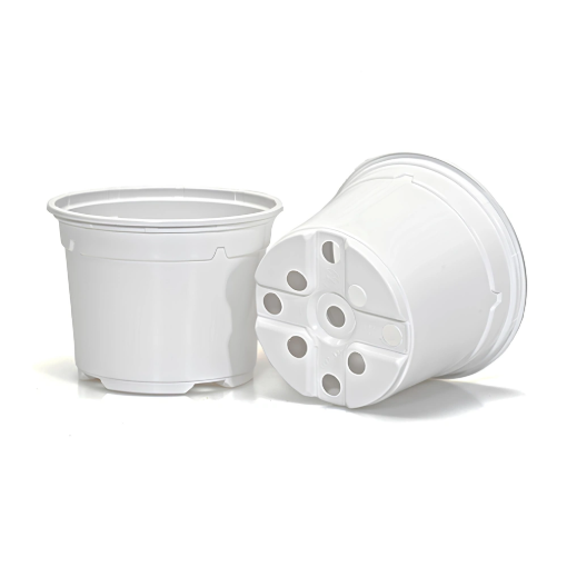 Image de POTS THERMOFORMES DUO RONDS BAS 12 cm 5 ° - Blanc 05 - Carton de 570