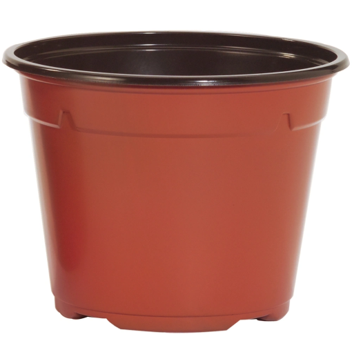 Image de POTS THERMOFORMES DUO RONDS BAS 14 cm 5 ° - Terre-Cuite - Carton de 374