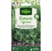 Image de ROMARIN OFFICINAL VL 2 - Le sachet