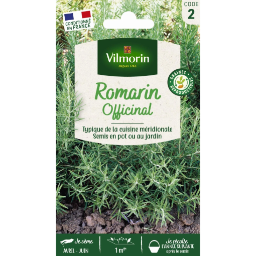 Image de ROMARIN OFFICINAL VL 2 - Le sachet