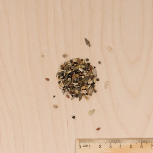 Image de MELANGE FLEUR PASTEL 25 M2 VL - Le sachet