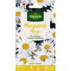 Image de CHRYSANTHEME MARGO VL1 GRANDE MARGUERITE - Le sachet