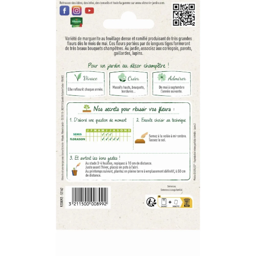 Image de CHRYSANTHEME MARGO VL1 GRANDE MARGUERITE - Le sachet