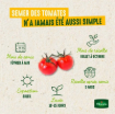 Image de TOMATE ROMA VL0 Légumes d'autrefois - Le sachet