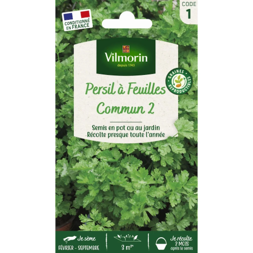 Image de PERSIL COMMUN 2 VL 1 - Le sachet