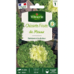 Image de CHICOREE FRISEE de MEAUX VL 1 - Le sachet