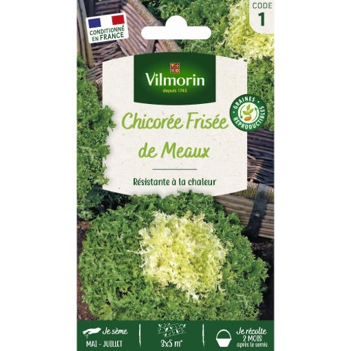 Image de CHICOREE FRISEE de MEAUX VL 1 - Le sachet