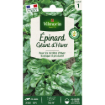 Image de EPINARD GEANT HIVER VL 1 - Le sachet