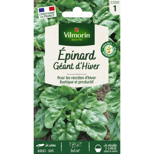 Image de EPINARD GEANT HIVER VL 1 - Le sachet