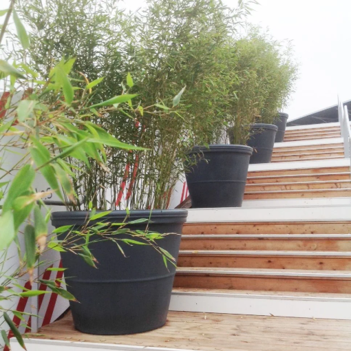 Image de POT ROND LISSE D 51 H 44 cm 60 litres