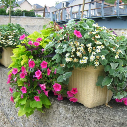 Image de Jardinière  102 x 42 x H 44 cm 200 litres - Coloris chocolat