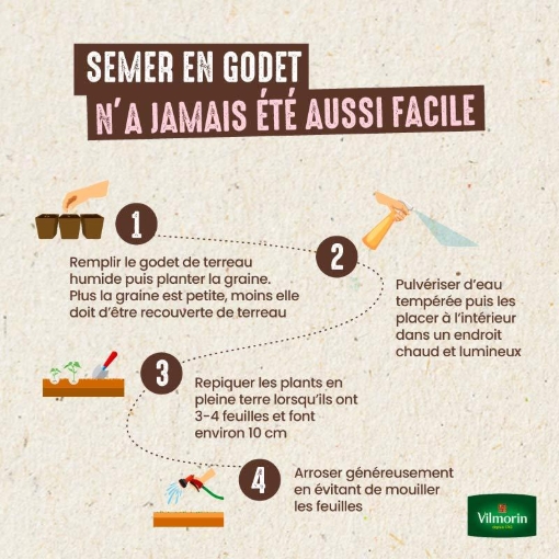 Image de TOMATE CERISE FGR S1 - Le sachet