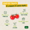 Image de TOMATE CERISE FGR S1 - Le sachet